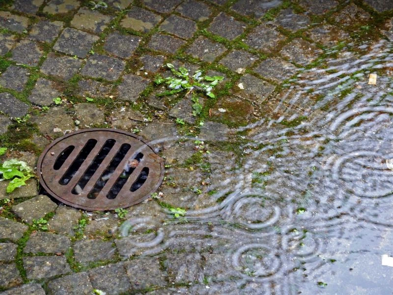 Fose septice în zone cu pânză freatică ridicată: soluții și riscuri în 2026